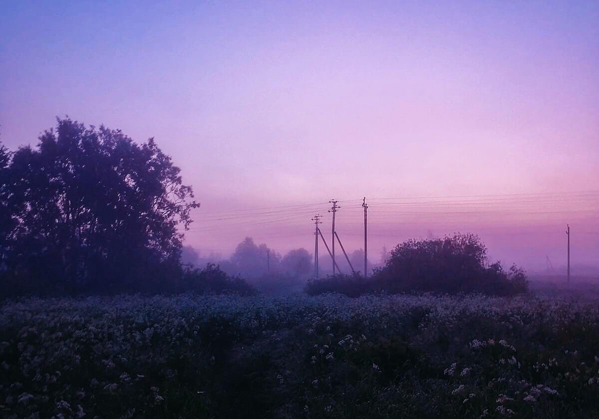 世界杯直播下载-西班牙疫区笔记:相同的病毒,不同的世界